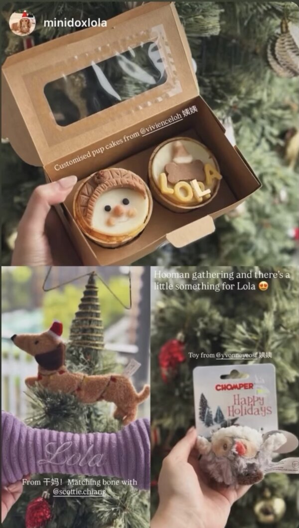 @minidoxlola — customised pup cakes