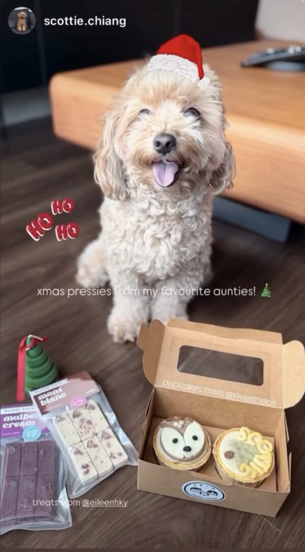 @scottie.chiang — xmas pressies from my favourite aunties